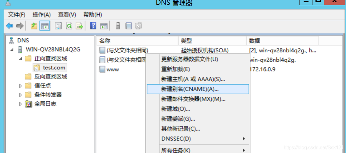 云服务器外网dns文件