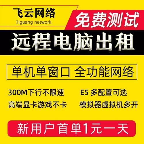 租了个云服务器怎么玩电脑