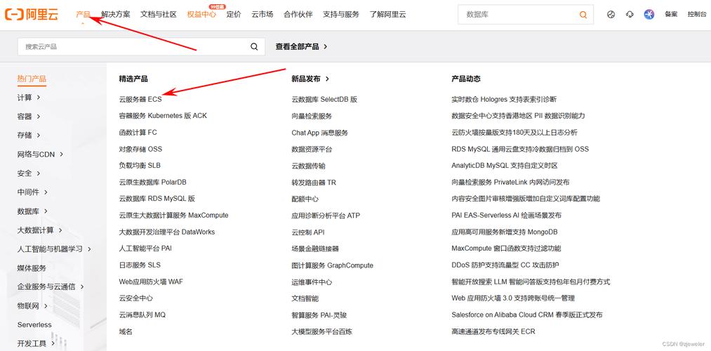 阿里云服务器名称是啥