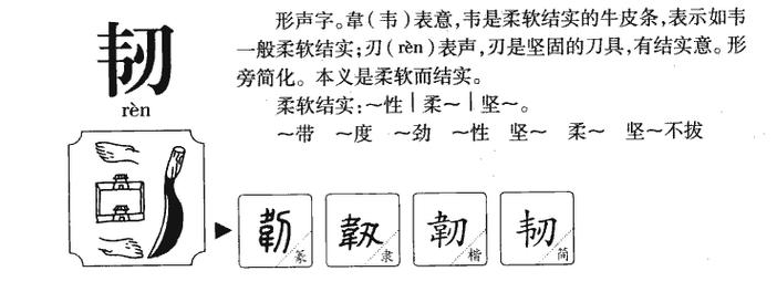 韧怎么读?