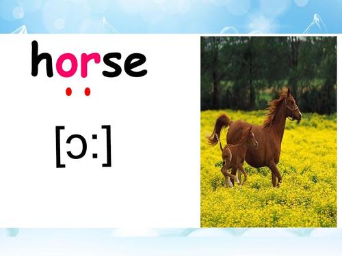 horses怎么读?