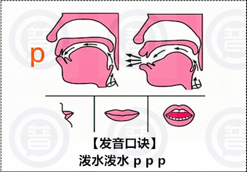 ?p怎么读?