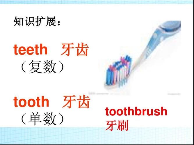 牙刷英语怎么说?