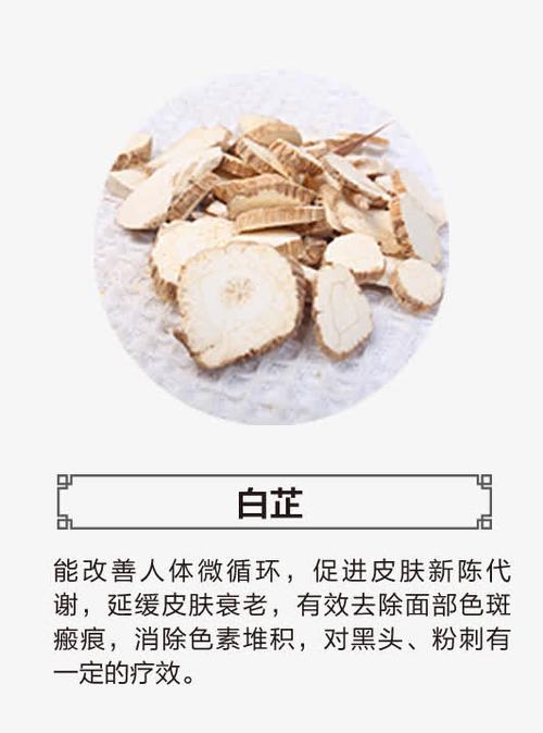 白芷怎么读?