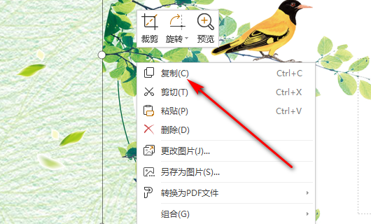 为什么图片复制不了?