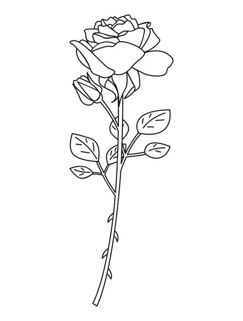 玫瑰花怎么画简单好看?