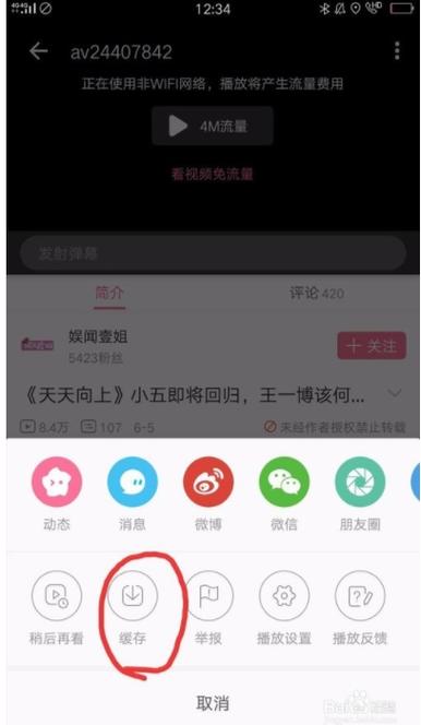 b站的视频怎么下载?