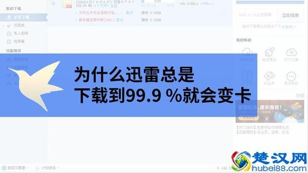 为什么迅雷突然很慢?