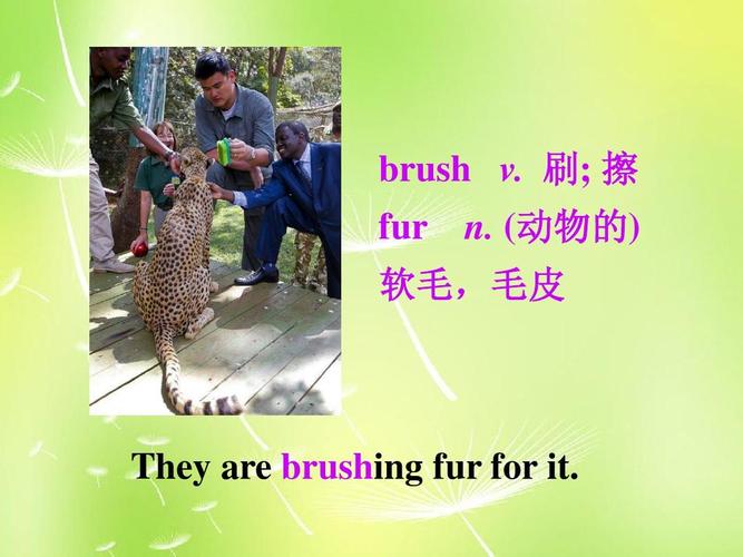 fur怎么读?
