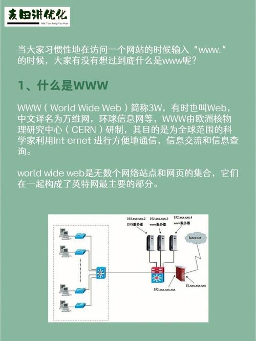 为什么加www?