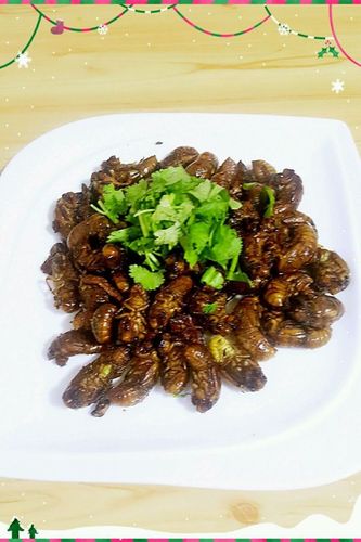知了怎么做好吃?