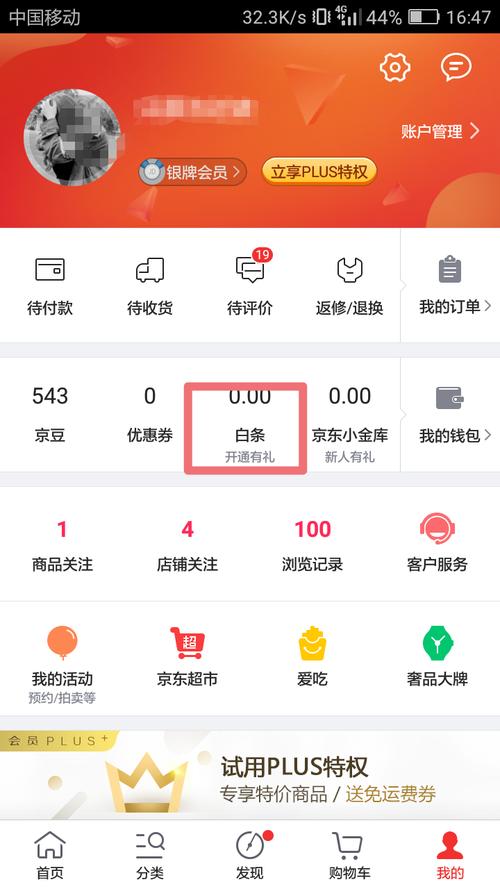 京东白条怎么借款?