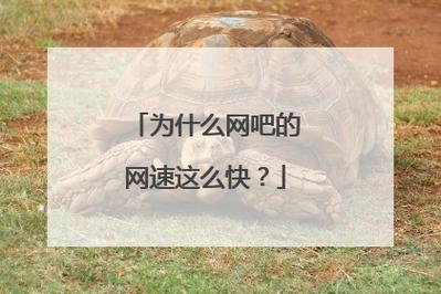 网吧为什么网速快?