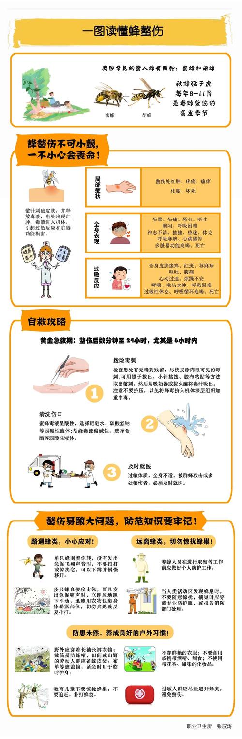 被蜂蛰了怎么办?
