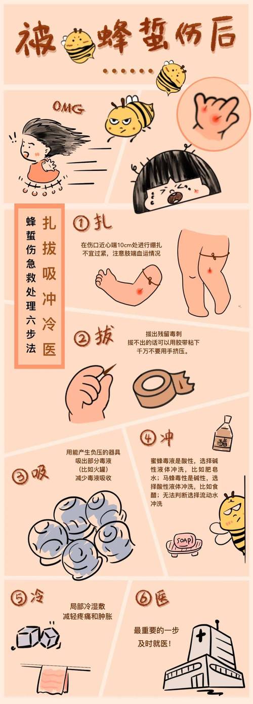 被蜂蛰了怎么办?