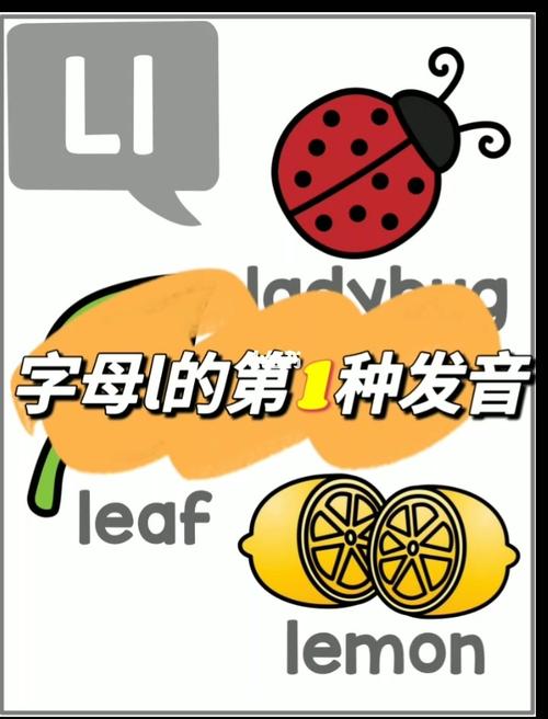 ?l怎么读?