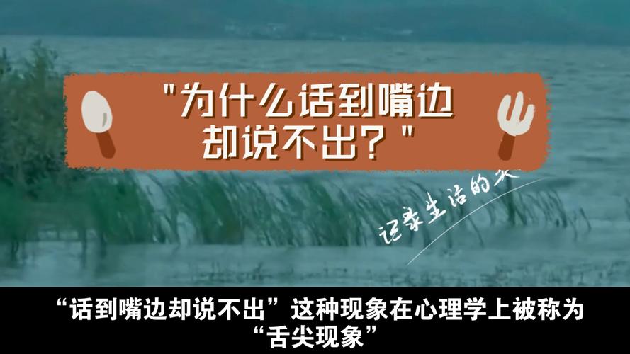 为什么手机说不了话?