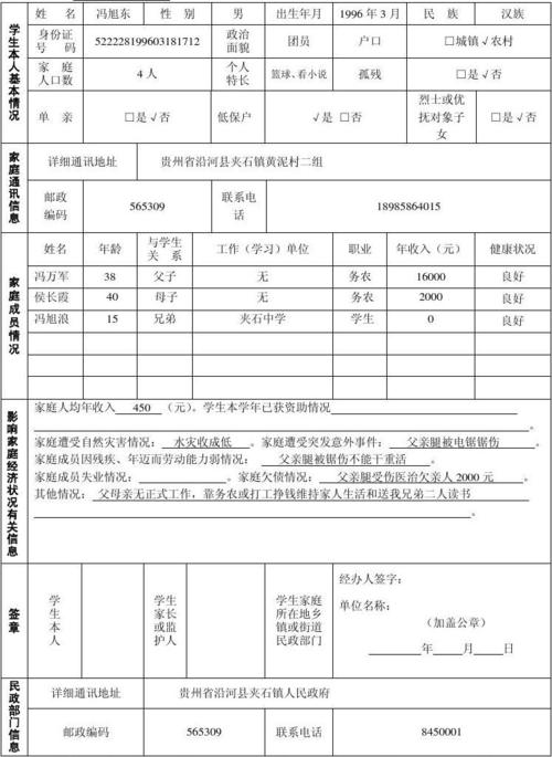 家庭经济状况怎么填写?