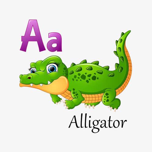 alligator怎么读?