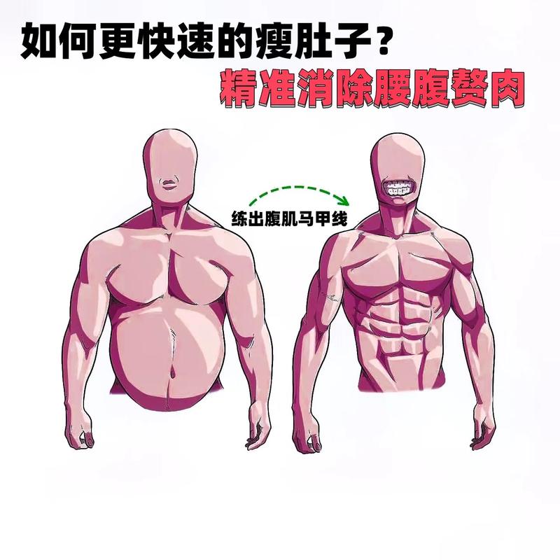 肚子肉多怎么减?